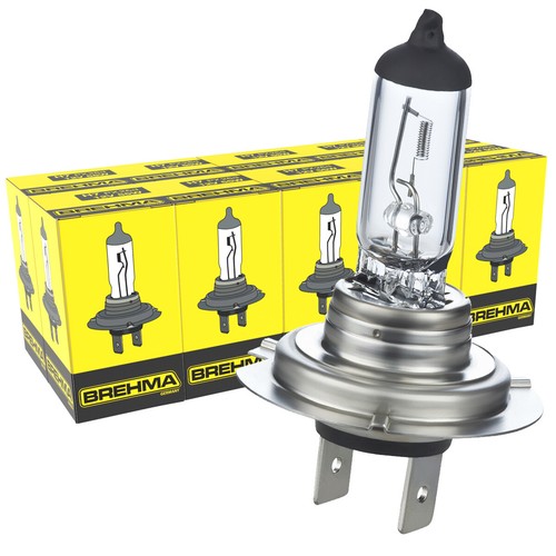 10x birnen 12v 55w - 12v,